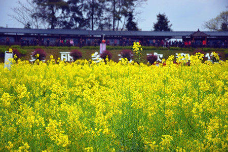 长沙乡村休闲旅游节