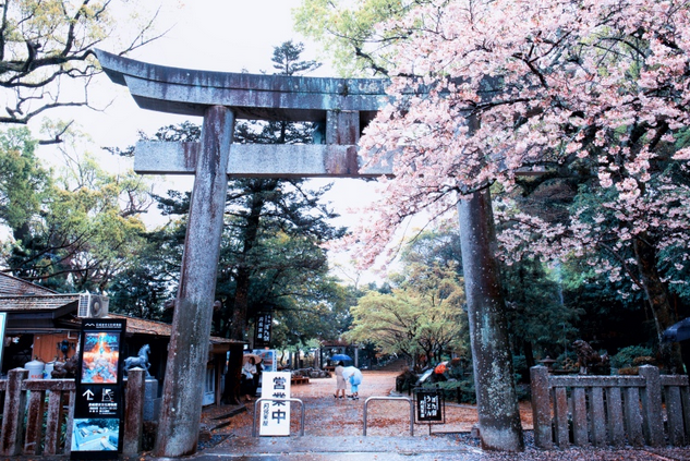 日本最热门选择地